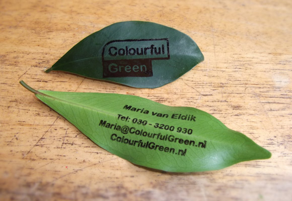 Onderbreking probleem Niet genoeg visitekaartje van een boom blad; creatief, groen en duurzaam | Colourful  Green